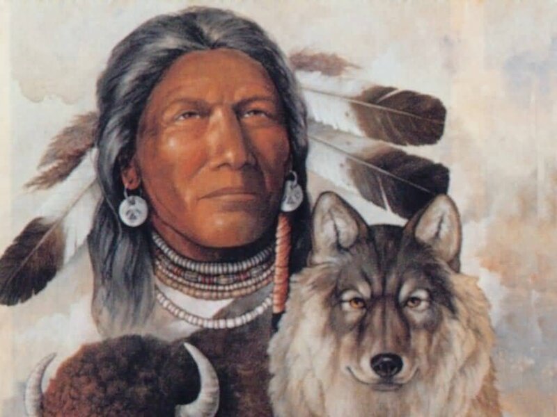 Native American Man with Wolf — Brown, Serene