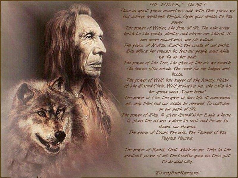 Native American Man with Wolf — Brown