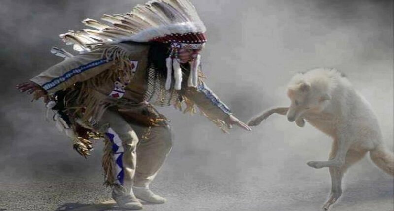 Native American Man with Wolf — White