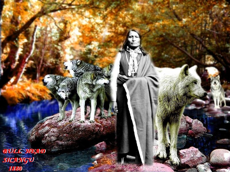 Native American Man with Wolves — Orange