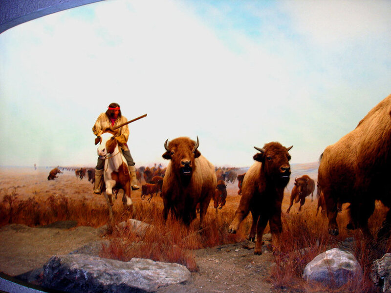 Native American on Horse — Brown
