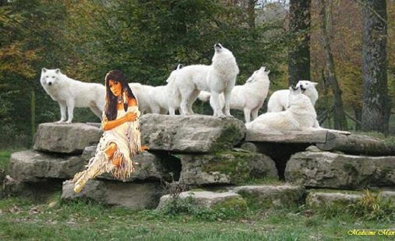 Native American woman with white wolves