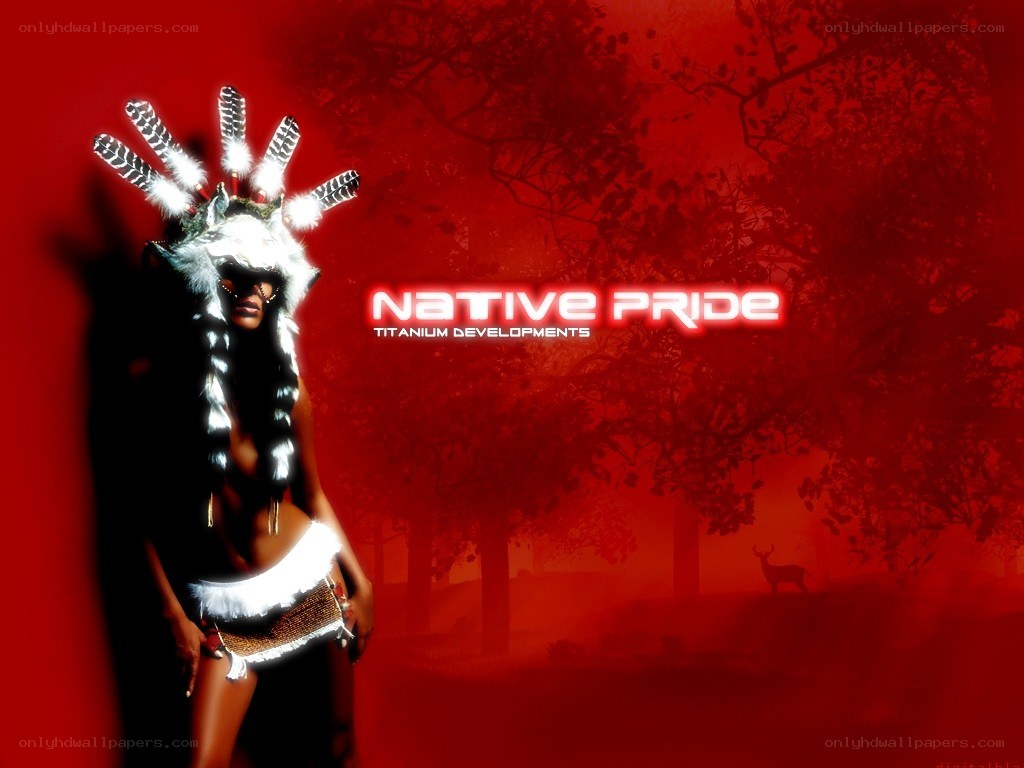 Native Pride promotional art