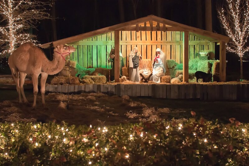 Nativity Scene at Night — Green