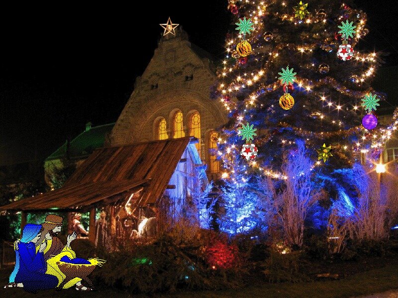 Nativity Scene with Christmas Tree