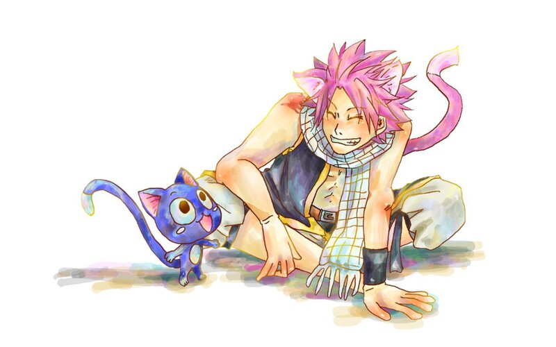 Natsu and Happy from Fairy Tail