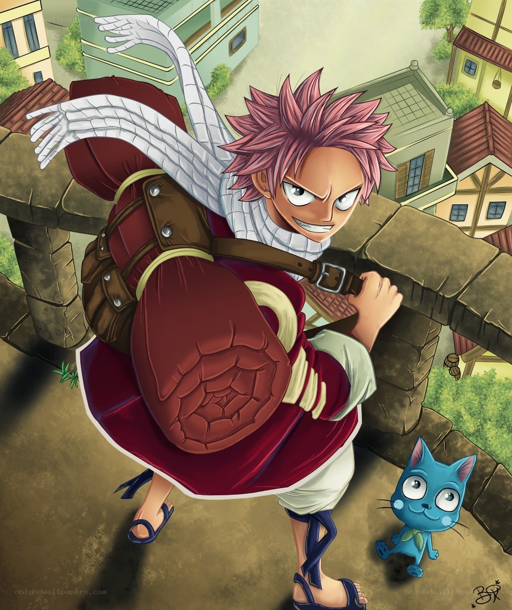 Natsu Dragneel with Happy