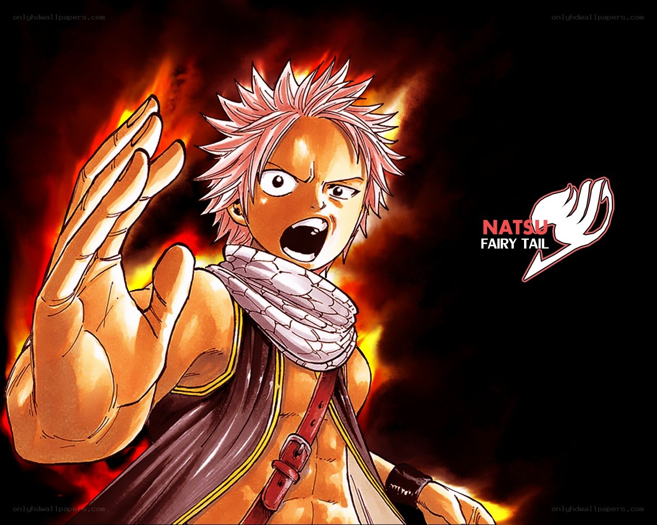 Natsu from Fairy Tail