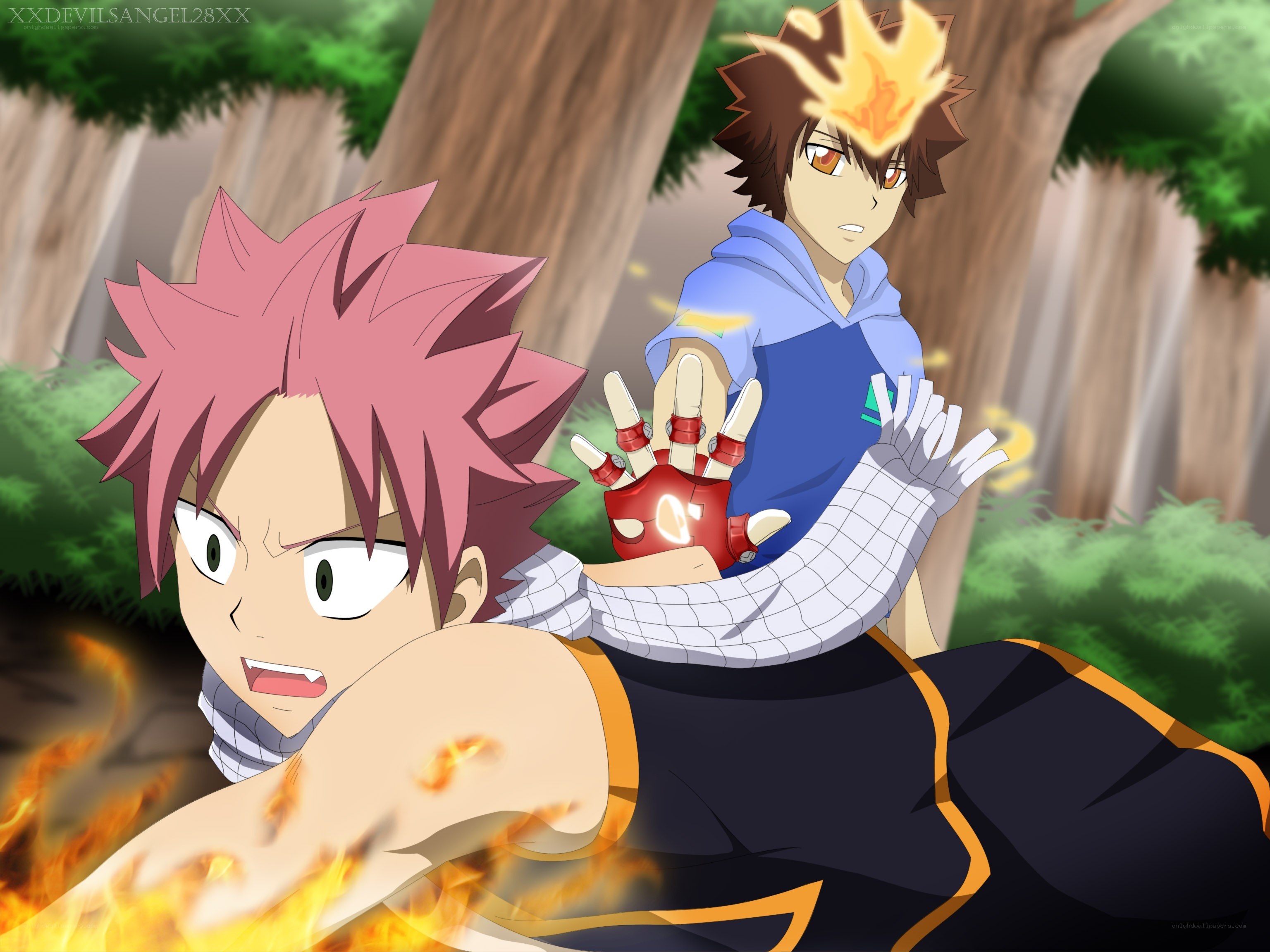 Natsu vs. Gajeel in forest