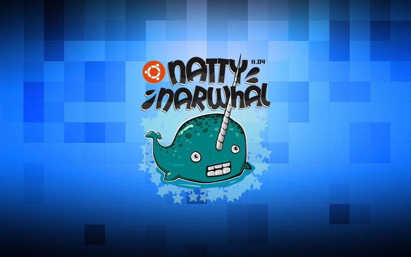 Natty Narwhal logo