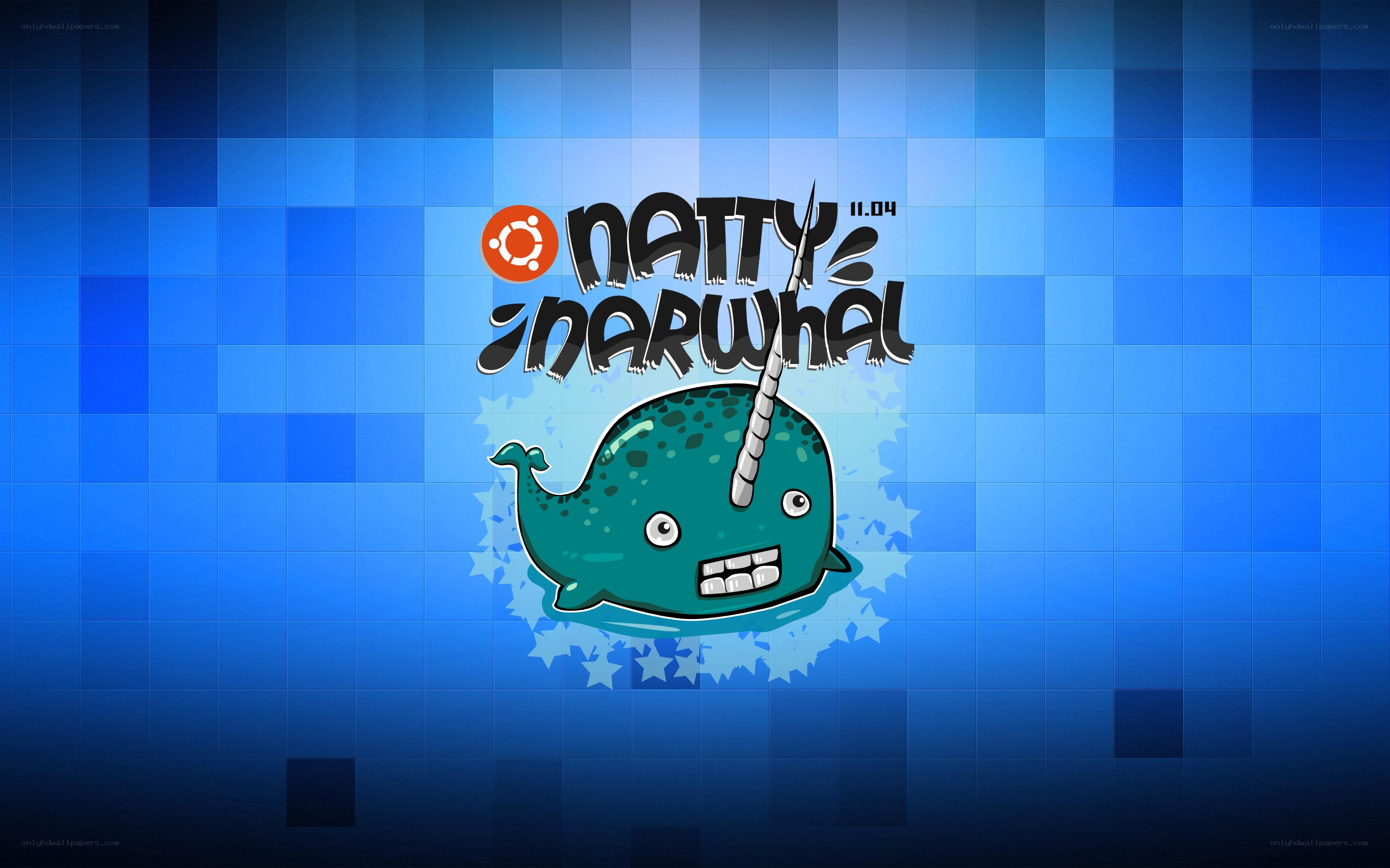 Natty Narwhal logo