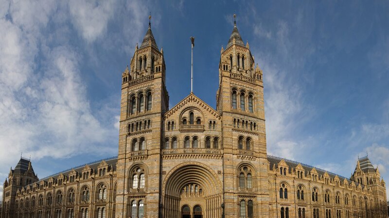 Natural History Museum London — Blue