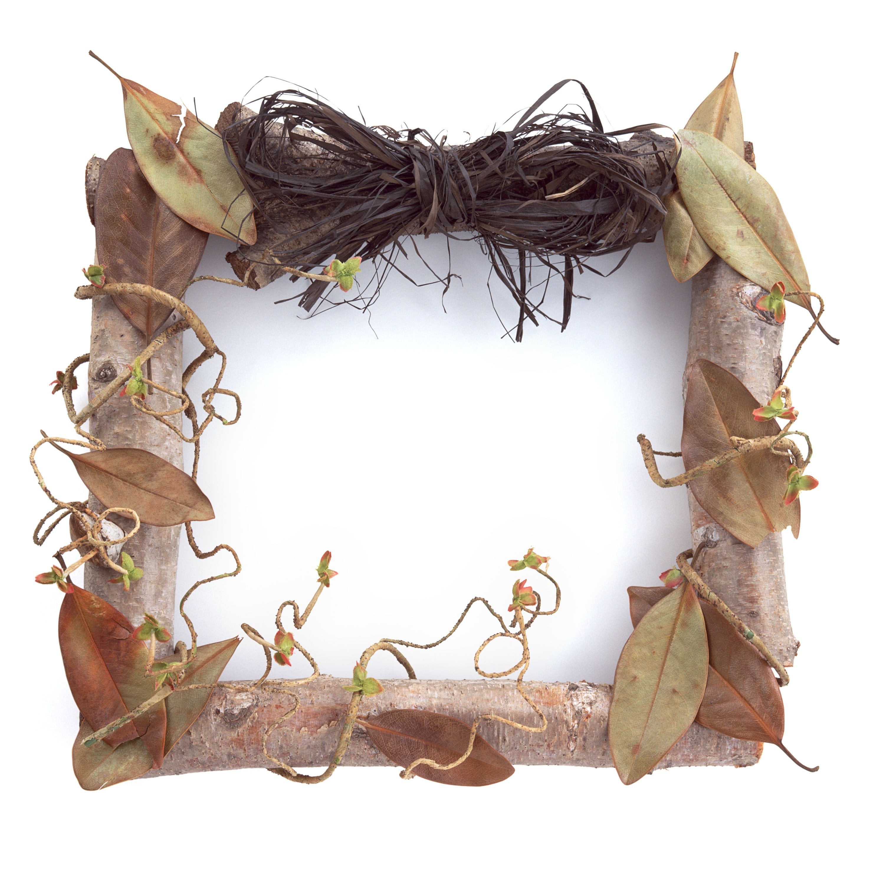 natural leaf and twig frame