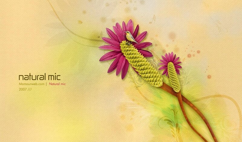 natural mic artwork