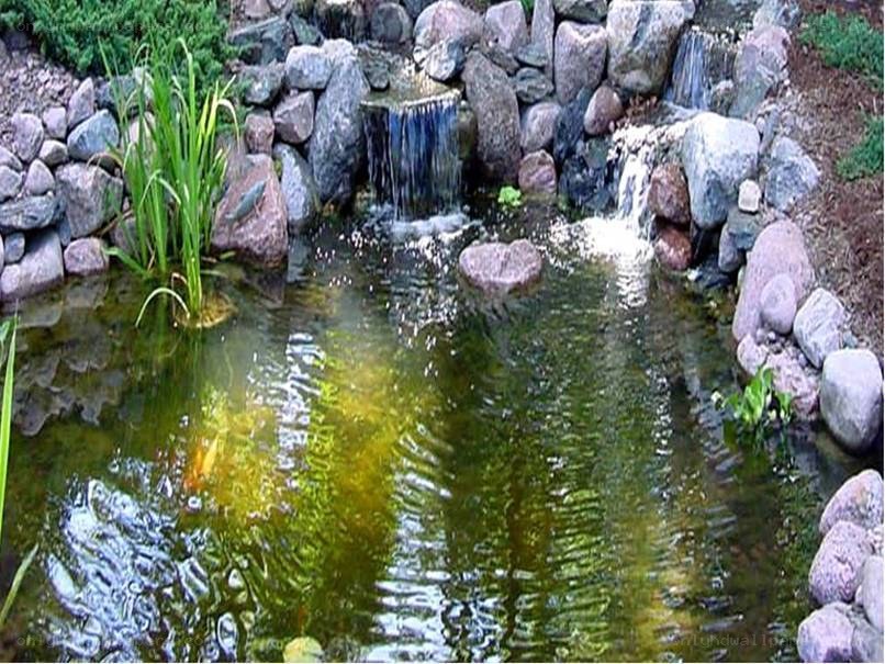Natural pond with small waterfall