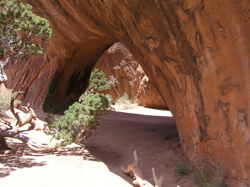 Natural Rock Arch — Brown, Serene, Afternoon, Photograph, Trees