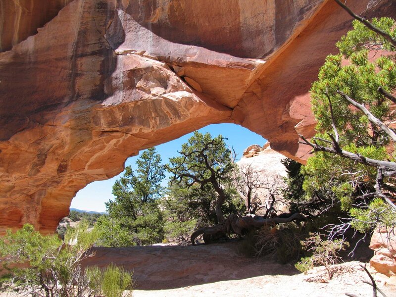 Natural Rock Arch — Brown
