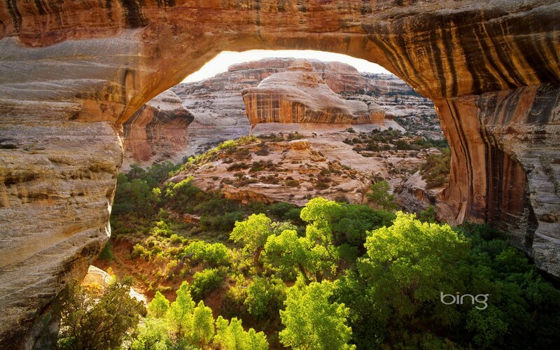 Natural Rock Arch — Green, Serene, Afternoon