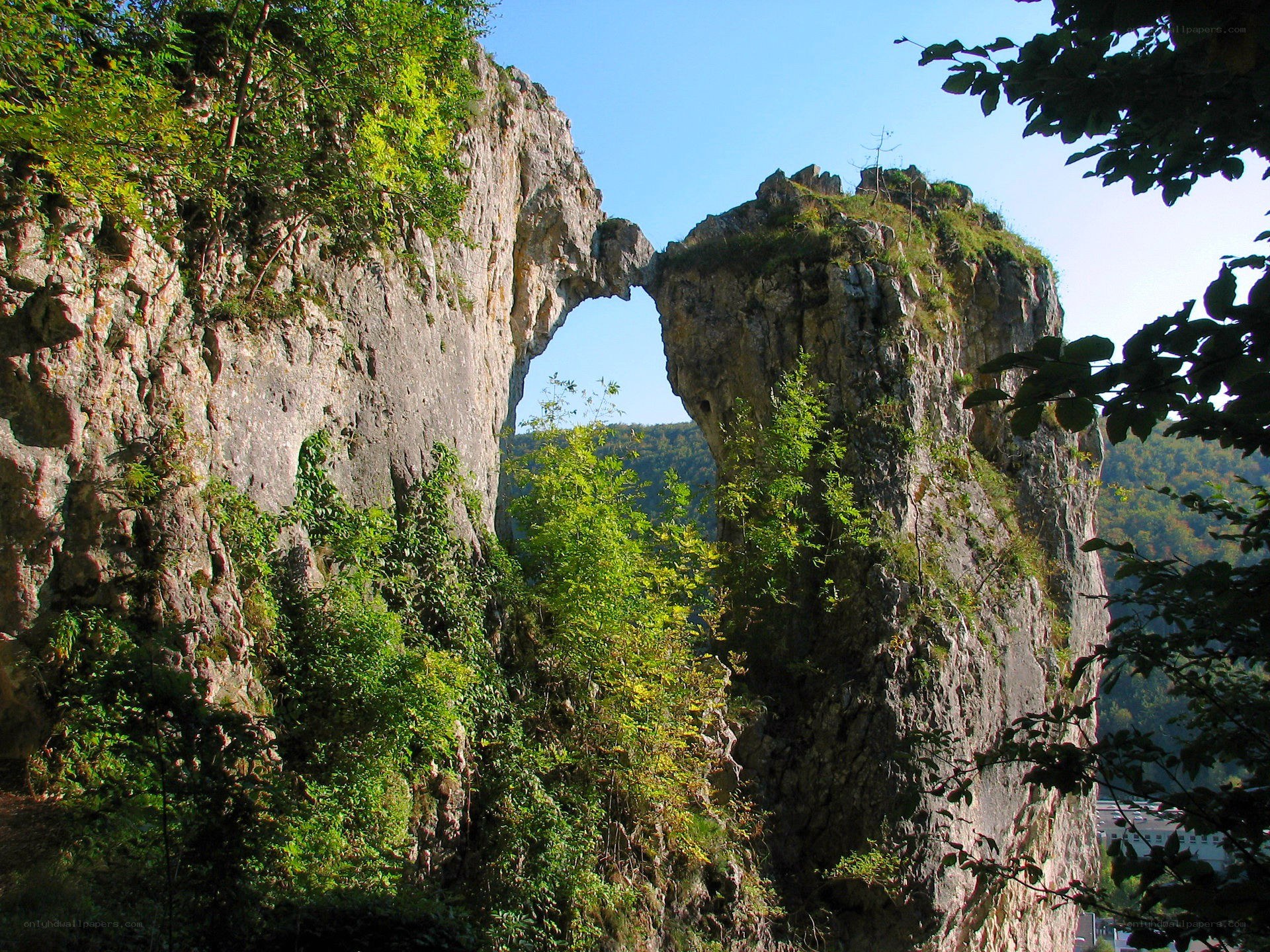 Natural rock arch in a forest