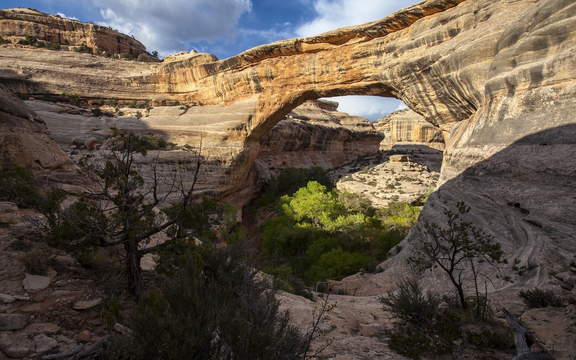 Natural rock arch in canyon