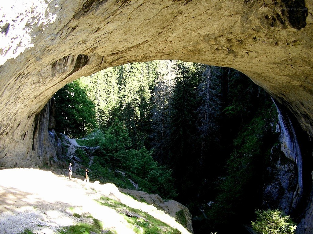 Natural rock arch in forest
