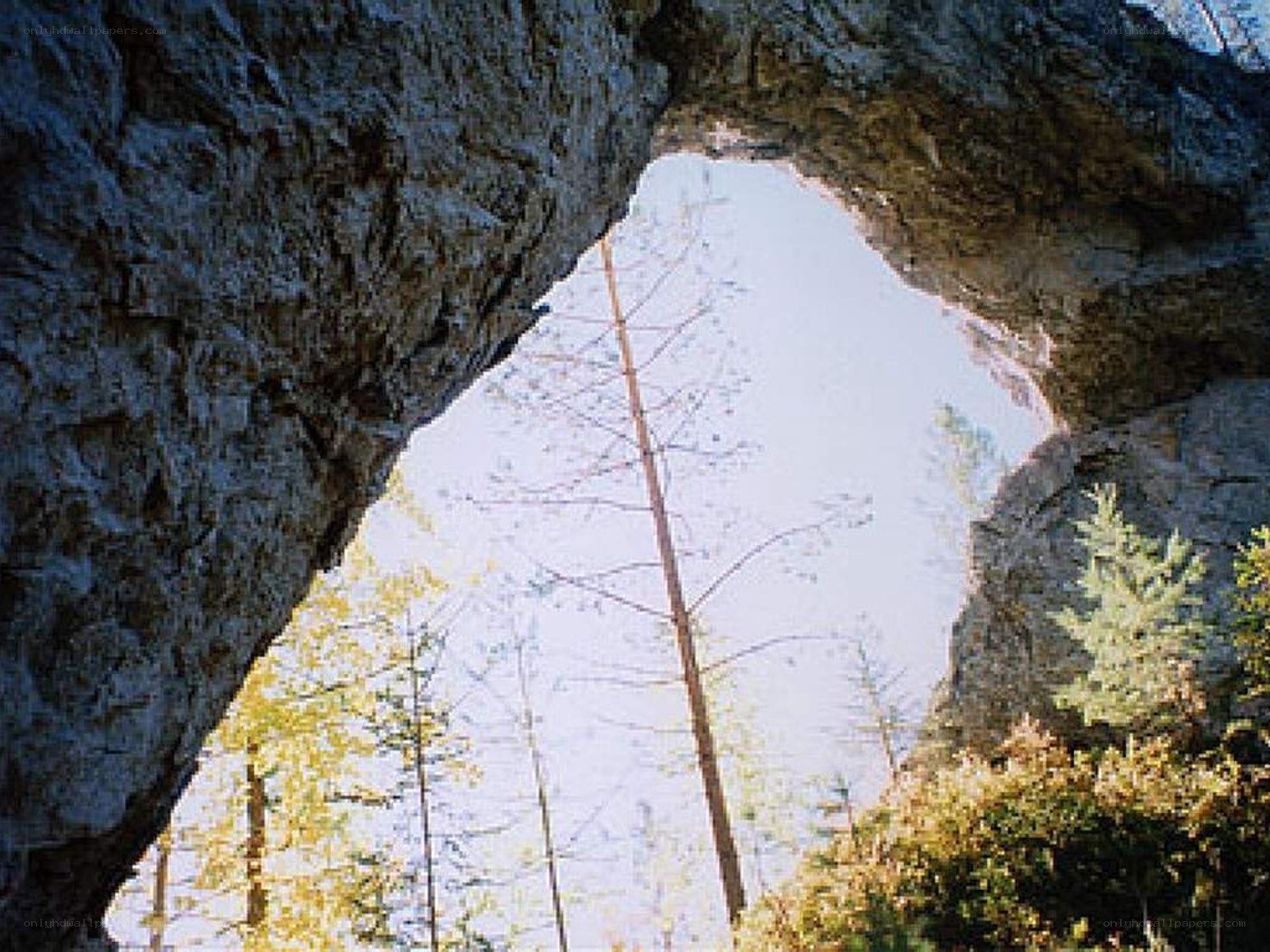 Natural rock arch in forest