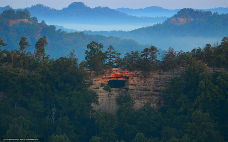 Natural Rock Arch in Forest — Green, Serene, Morning, Photograph