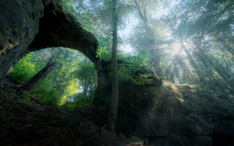 Natural Rock Arch in Forest — Green, Serene, Morning, Photograph, Trees