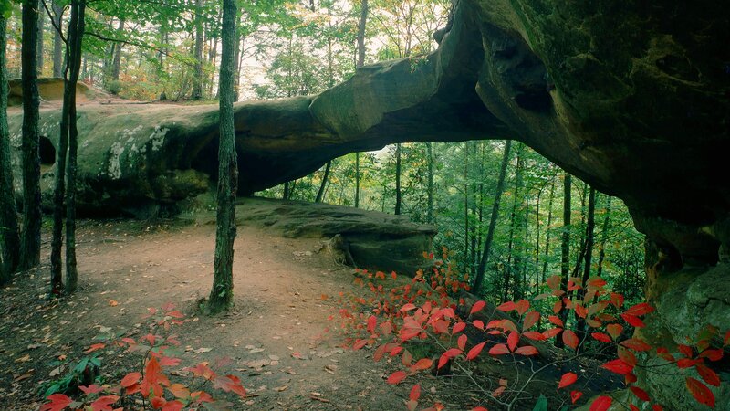 Natural Rock Arch in Forest — Green, Serene