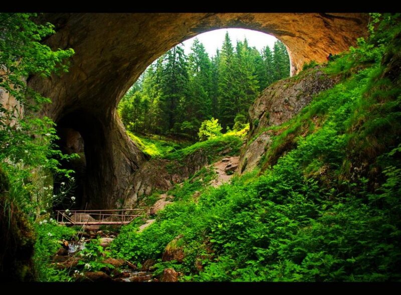 Natural Rock Arch in Forest — Green