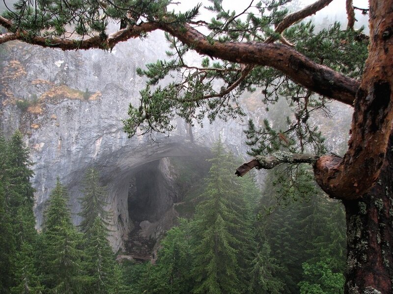 Natural rock arch in forest