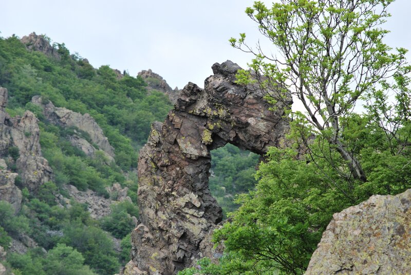 Natural rock arch in forested mountains