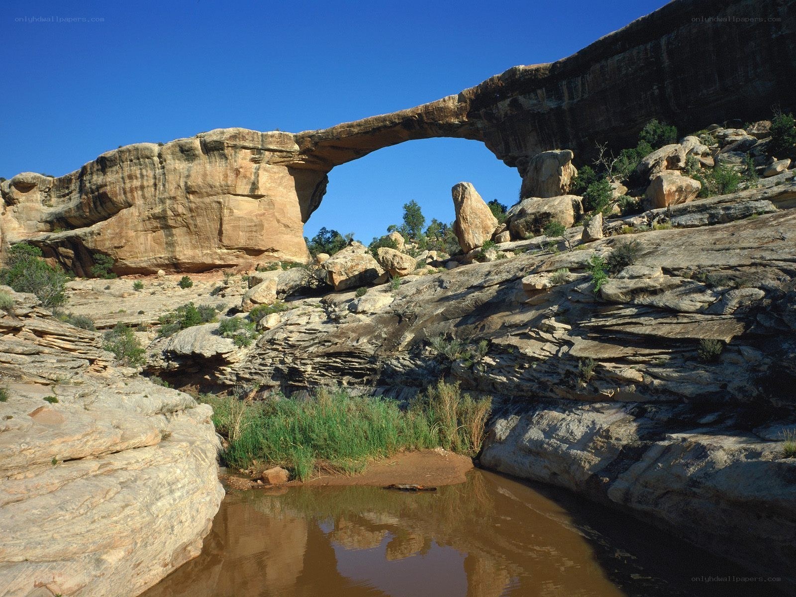 Natural rock arch over river