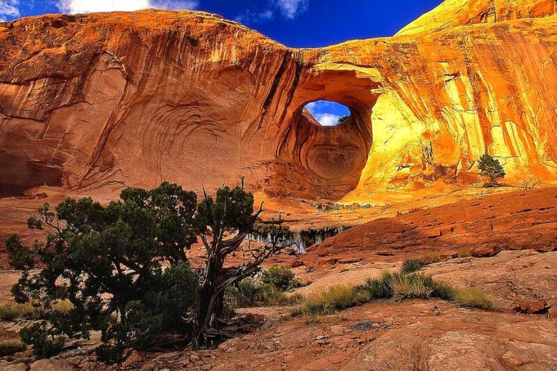 Natural Rock Arch — Red, Dramatic, Afternoon, Photograph, Tree