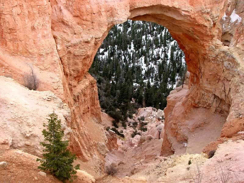 Natural Rock Arch — Red, Serene, Winter