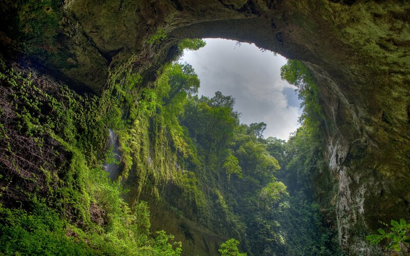 Natural Rock Arch with Forest