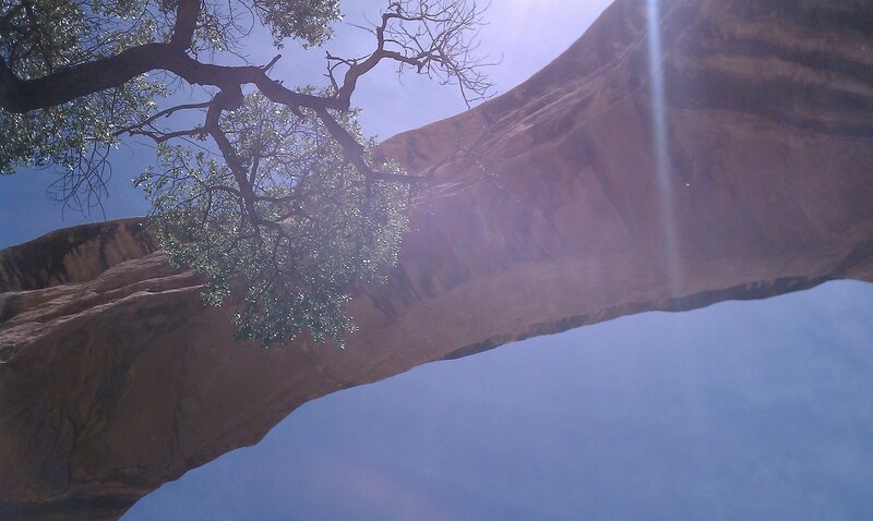 Natural rock arch with tree