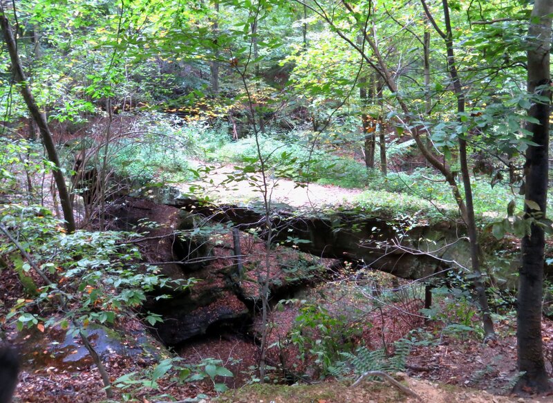 Natural Rock Bridge in Forest