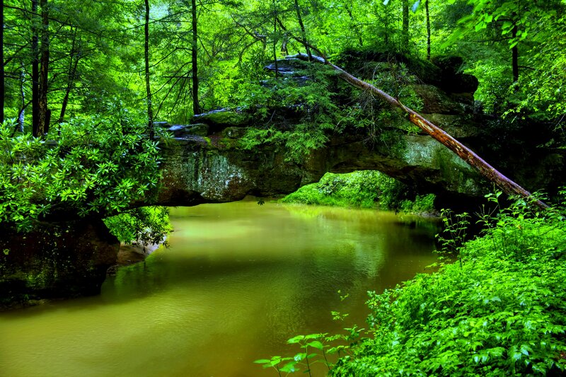 Natural Rock Bridge over River — Green, Serene