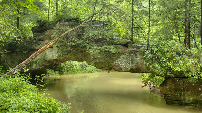 Natural Rock Bridge over River — Green
