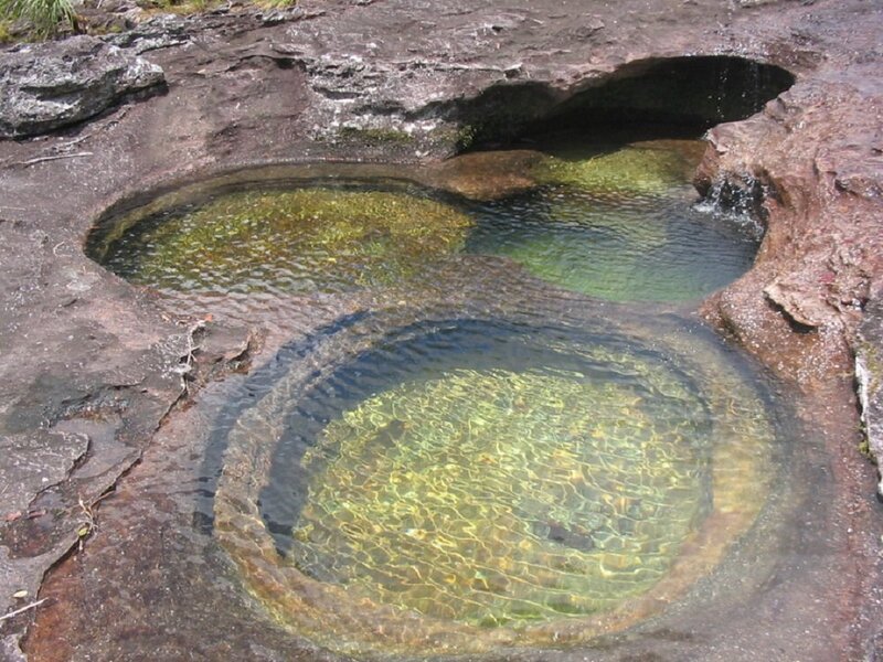 Natural Rock Pools — Brown