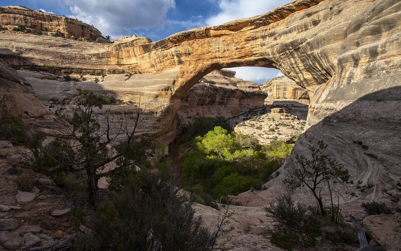 Natural Sandstone Arch — Brown, Dramatic, Afternoon