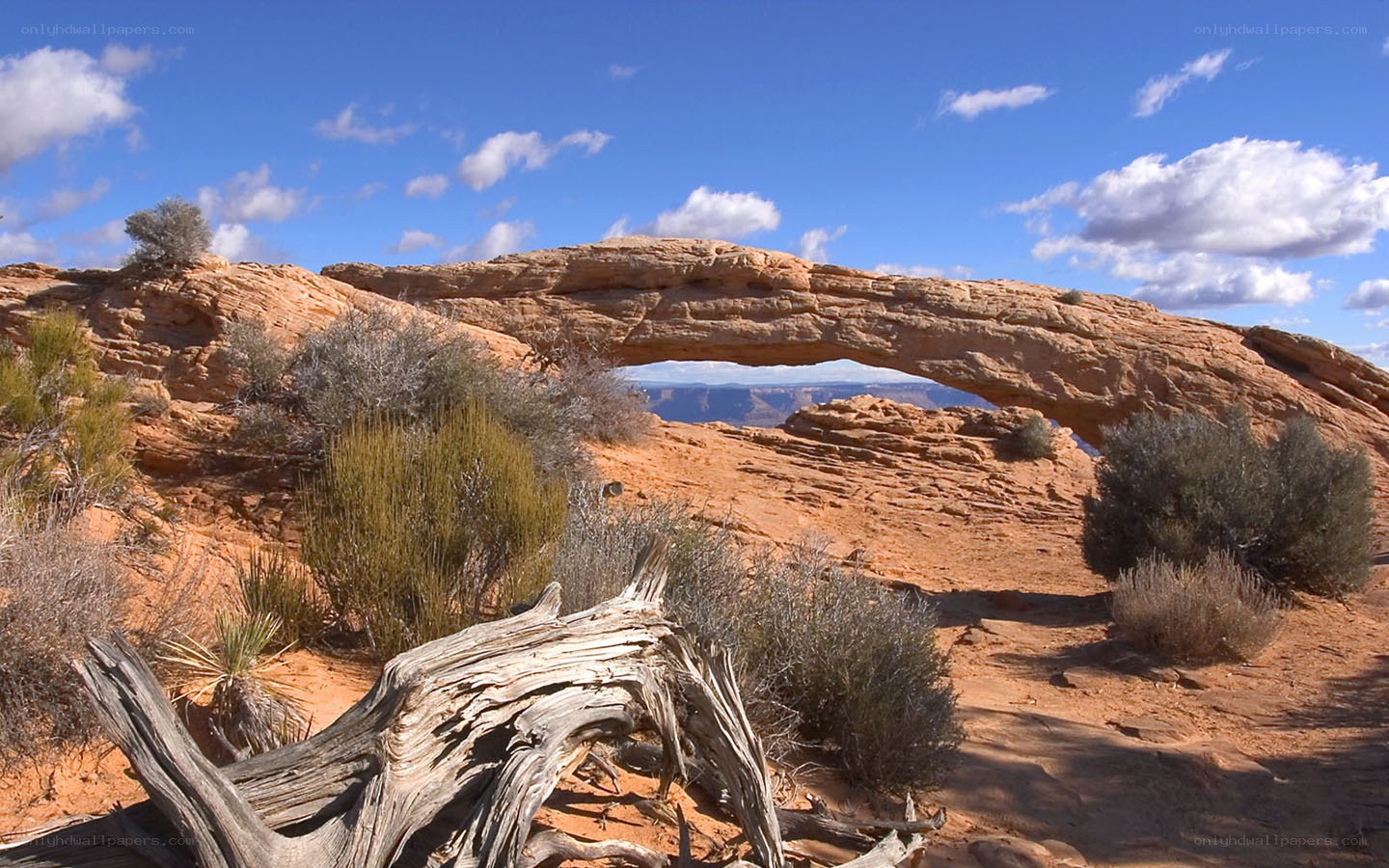 Natural sandstone arch in desert