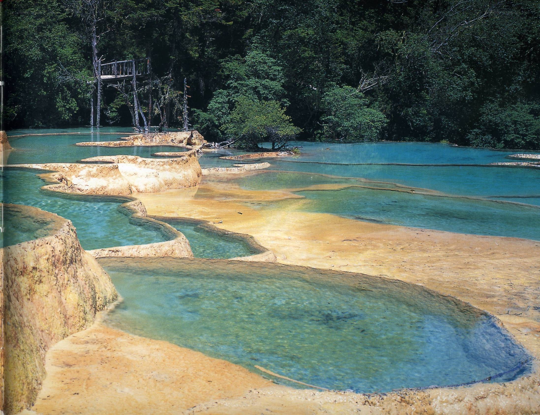 Natural terraced pools in forest