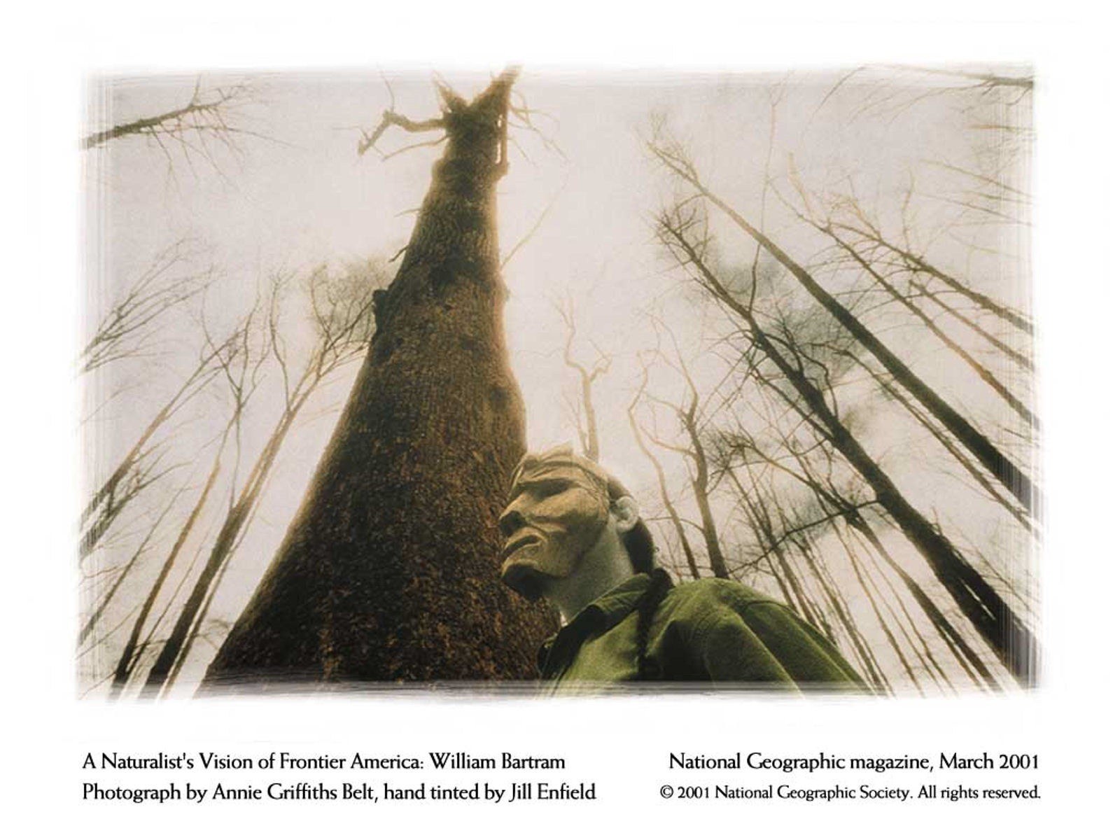 Naturalist in the forest