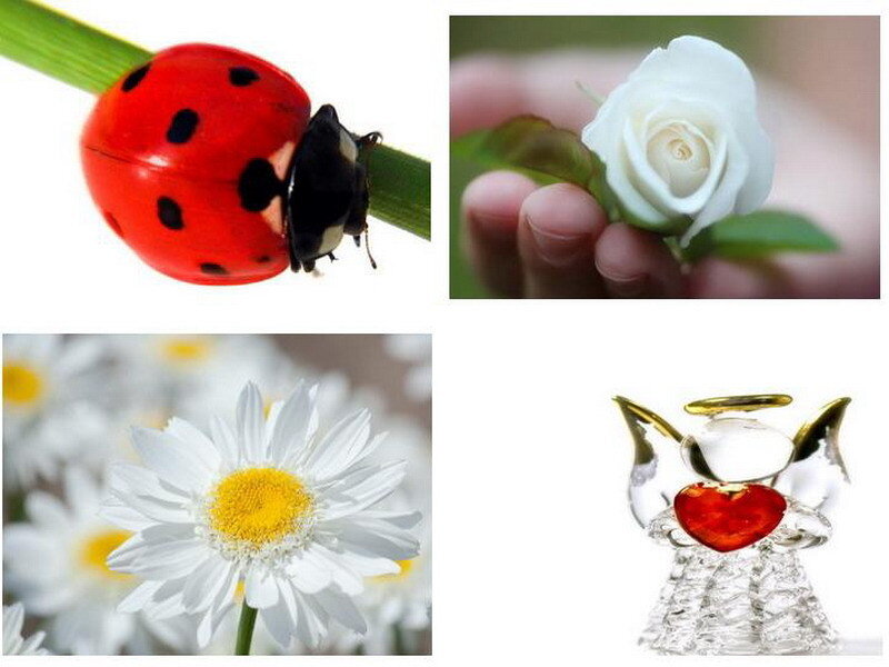 Nature and angel figurine collage