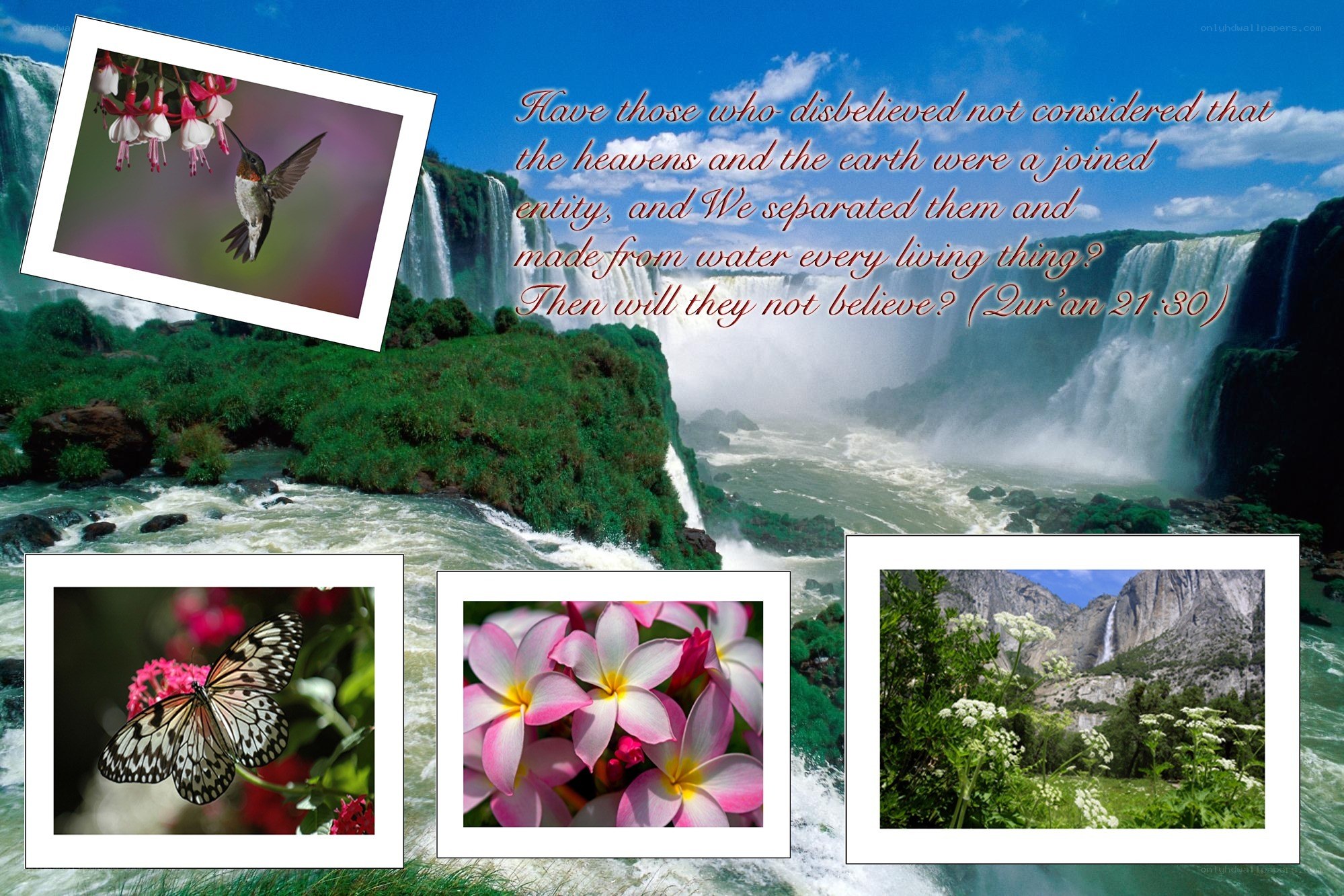 Nature and Quranic verse collage