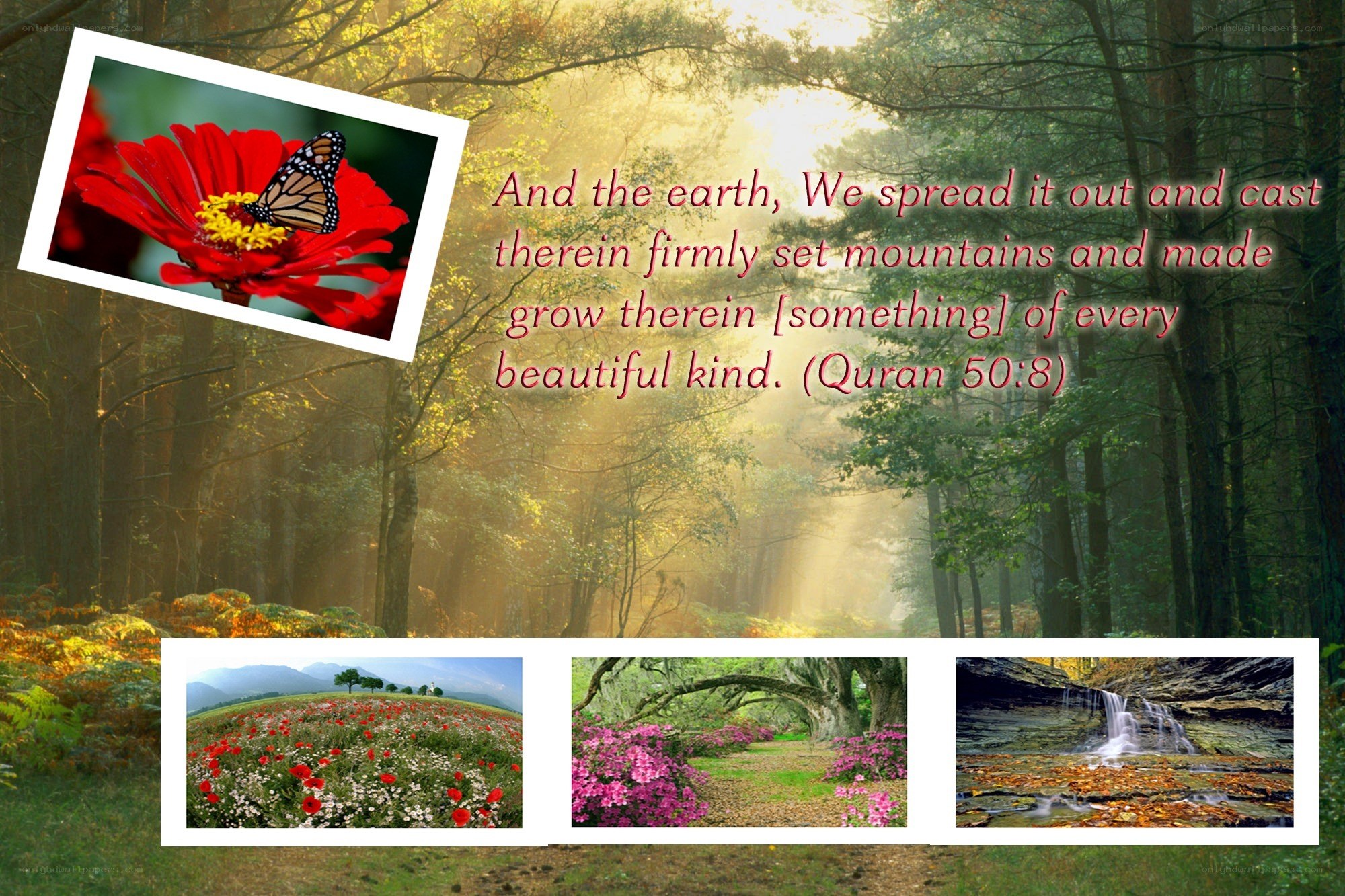 Nature and Quranic verse