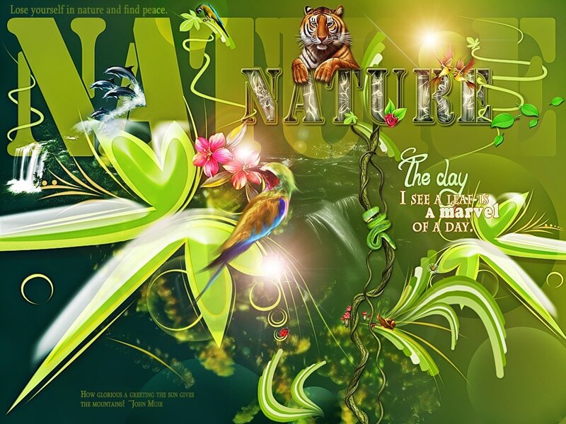 Nature and wildlife collage