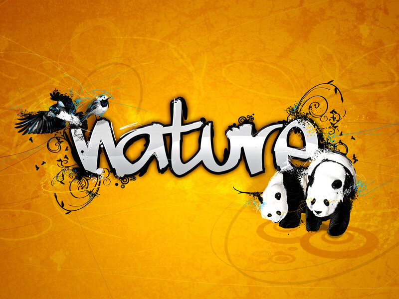nature art with pandas and birds